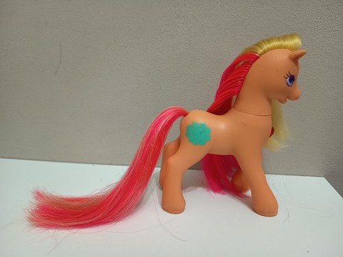 Little pony rocky - my,