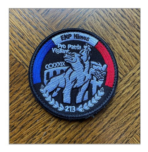 Insigne enp 213 nimes bri - 213,
