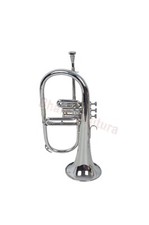 Instrument De Musique Indien