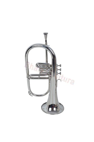 Instrument musique indien - de,