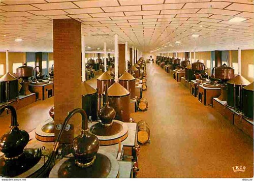 Carte postale cognac - 16,