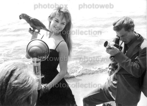 Brigitte bardot exclusive - brigitte,