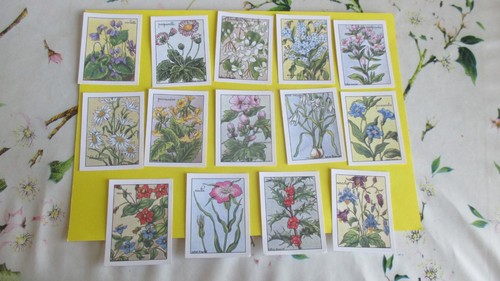 Les fleurs lot images - lot, 14