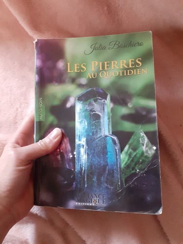 Livre les pierres quotidien - livre,