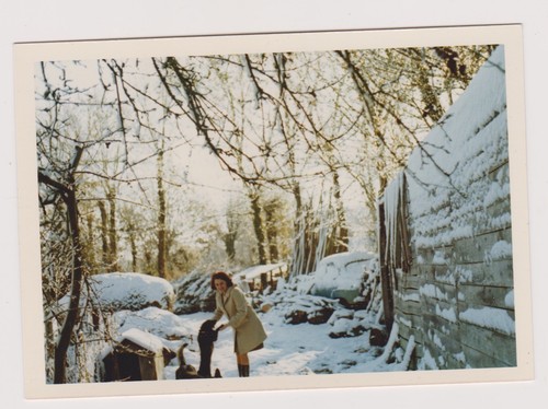 Photo ancienne femme - ancienne, 🎞️