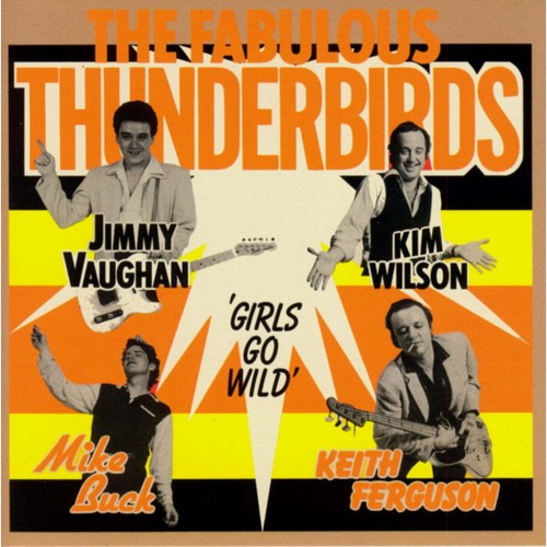 The fabulous thunderbirds - the,
