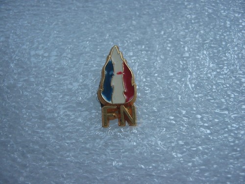 Pin pins logo - fn,