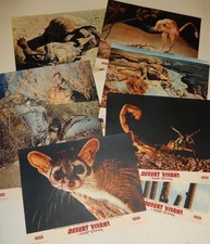 Lot 8 photos d'exploitation : Film DESERT VIVANT de Walt DISNEY - CINEDIS LOT 2