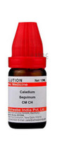 @ Dr Willmar Caladium Seguinum CH Médicament Homéopathique 30ML A992