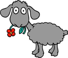 Sticker autocollant vinyle 10 x 15 cm mouton Ane Cheval ou Chevaux  ref PRPE0815