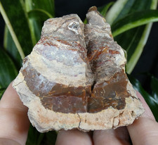 Agate Lithophyse Brut Massif