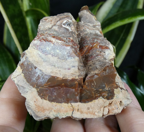 Agate lithophyse brut massif - brut,