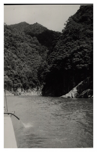 Japon shingu descente en - japon,, shingu,