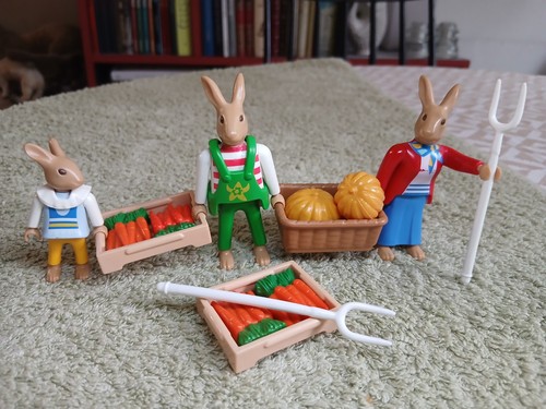 Potager playmobil lot - potager,