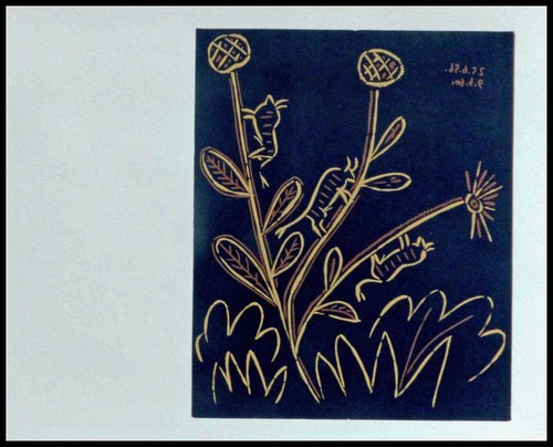 Pablo picasso plante de - plante,