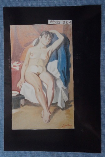 Photographie tableau nu - photographie,