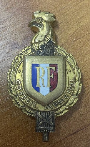 Insigne fonction conseil - insigne,