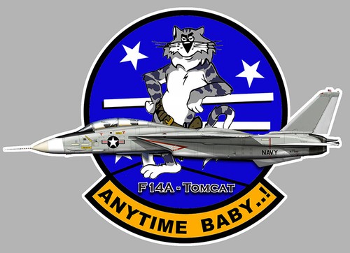 Air force sticker - sticker, coat