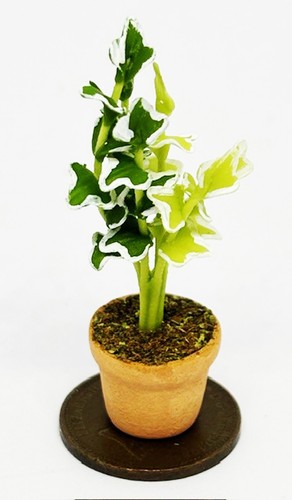 Maison poupée plante verte - poupée,