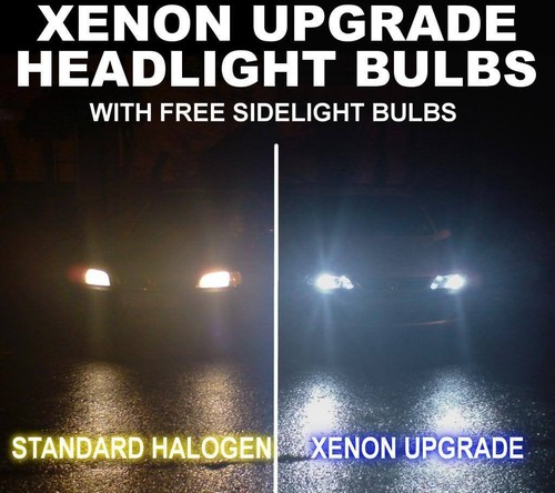Ampoules phare xenon - phare,