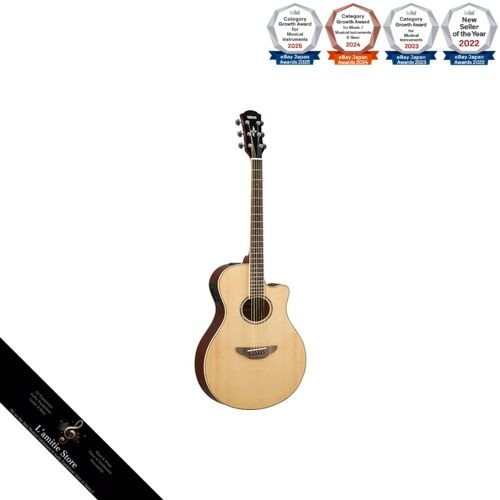 Guitare acoustique électrique