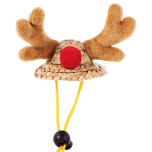 Mini chapeau pour petit - petit, animal