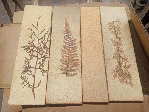 Carreaux herbier roger capron - herbier,