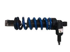 Amortisseur Arrière Triumph