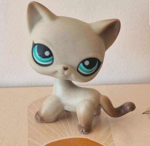 Pet shop 391 shorthair cat - pet, #391
