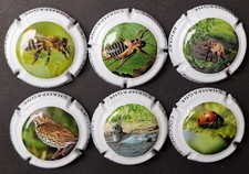 Lot 6 CAPSULE Générique  BIODIVERSITE abeille renard  Plaque muselet CHAMPAGNE