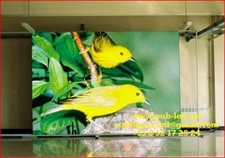 LED ÉCRAN P8 ÉTANCHE PROGRAMMABLE TRÈS LUMINEUX POUR EXTÉRIEUR 100×100 CM