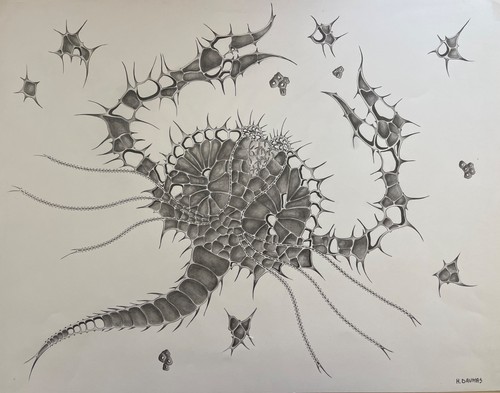 Original zodiac cancer - zodiac, crab