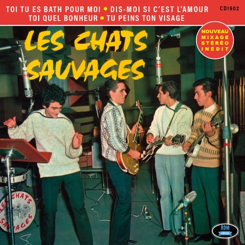 Les chats sauvages avec - chats,