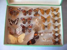 Ancienne vitrine boîte