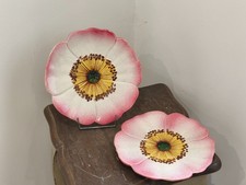 TRES BELLE PAIRE D ASSIETTES