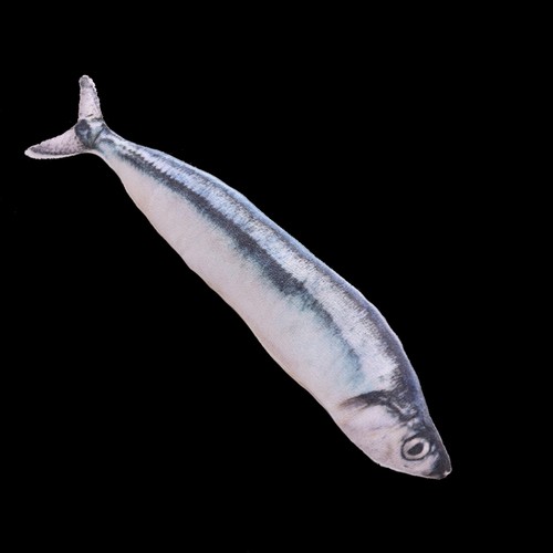Coussin poisson peluche - coussin,