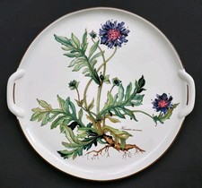 Sublime GRAND PLAT A GATEAU A