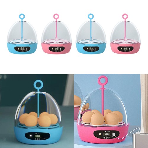 Clear eggs incubator usb - eggs,