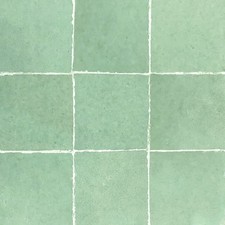 Carrelage Zellige couleur