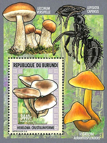 Stamps burundi 2014 perf - stamps,