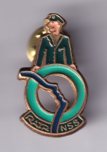 Rare pins pin train - rare,