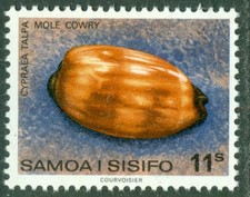 SAMOA 1978  Shell     Cypraea
