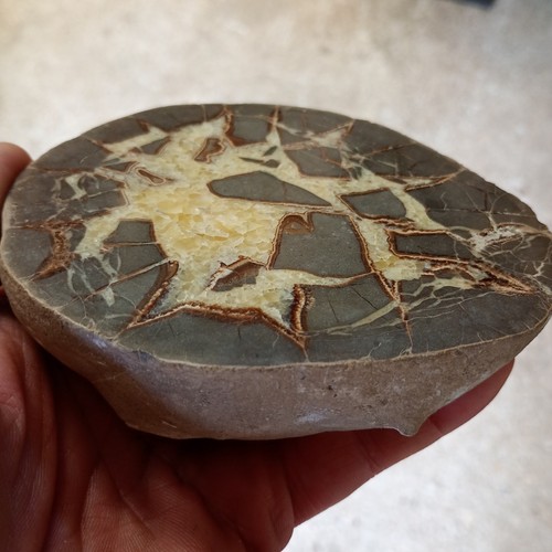 Nodule septaria calcite - nodule,