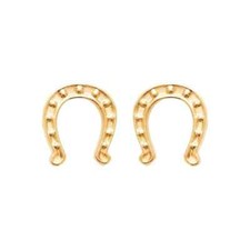 Boucles d'oreilles puces fer