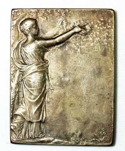 Médaille plaque bronze - (fr1),