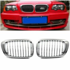 Rein Grille Calandre Avant