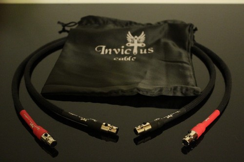Acss interconnect cable for - interconnect,