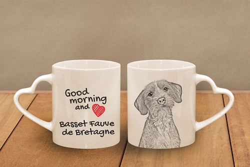 Basset fauve bretagne - basset,