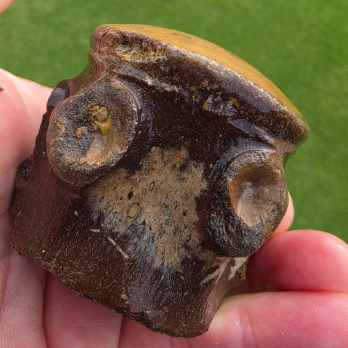 Freshly eroded platecarpus - freshly,