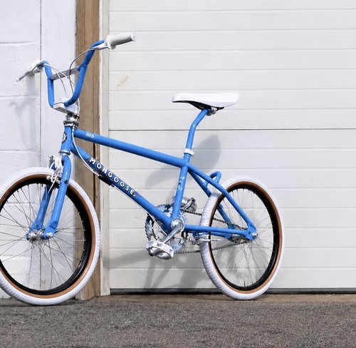 Mongoose reissue - mongoose, fs-1